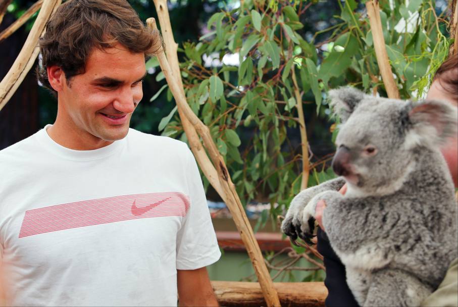 Roger Federer  a Brisbane per l&#39;esordio stagionale nel circuito Atp. In attesa di scendere in campo, lo svizzero ha trascorso una giornata al Lone Pine Sanctuary, struttura attiva dal 1927 che accoglie attualmente pi di 130 koala. Afp